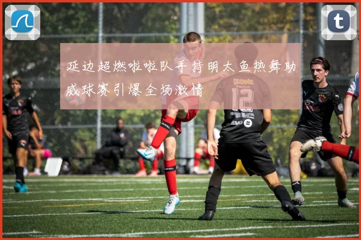 延边超燃啦啦队手持明太鱼热舞助威球赛引爆全场激情