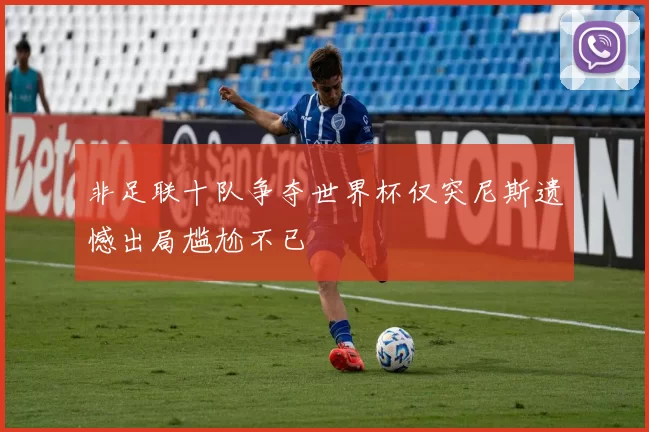 非足联十队争夺世界杯仅突尼斯遗憾出局尴尬不已