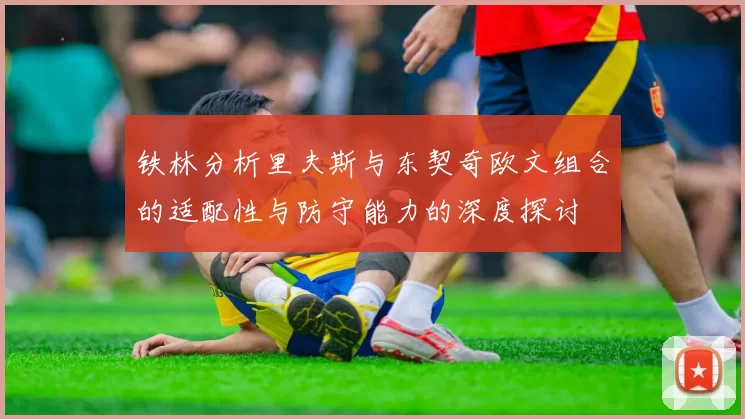 铁林分析里夫斯与东契奇欧文组合的适配性与防守能力的深度探讨